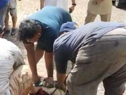 Rayakan Iduladha, PWI Sumut Sembelih 5 Hewan Kurban