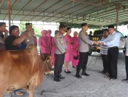 Polres Tanah Karo Serahkan Satu Ekor Sapi ke Masjid Agung Kabanjahe
