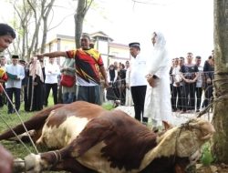 Salurkan 70 Ekor Hewan Kurban, Kapolda Sumut: Perkuat Persaudaraan antar Sesama