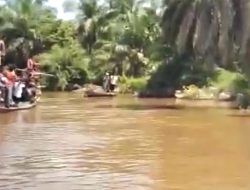 Pencarian IRT yang Diterkam Buaya di Sungai Aekkanopan Terus Dilakukan