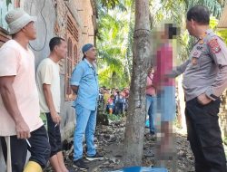 Jasad Pria Tergantung di Pohon Mangga Hebohkan Warga