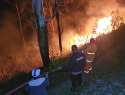 Perbukitan Dolok Panggulangan Tongging Karo, Terbakar