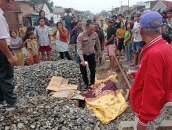 Bermaksud Selamatkan Anjing Peliharaannya, Edison Siagian Tewas Tertabrak Kereta Api