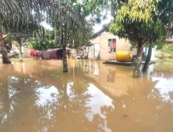Ratusan Rumah Dihantam Banjir di Kualuh Hulu, Labura