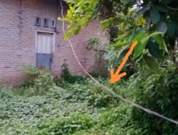 Warga Resah, Kabel Listrik Menjuntai Dekat ke  Permukaan Tanah
