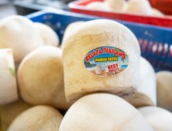 UMKM Kelapa Hijau Merah Tawarkan Minuman dan Puding Segar Menyehatkan