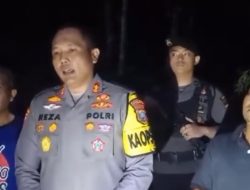 Polres Madina Musnahkan 50 Ribu Batang Tanaman Ganja di Lahan Pegunungan