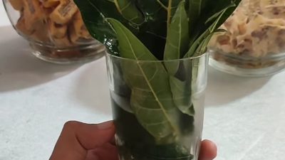 Usir Lalat dengan Cara Tradisional, Lalat akan Kabur Selamanya