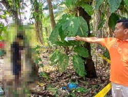 Seorang Pria Ditemukan Tewas Tergantung di Pohon Coklat di Kotarih