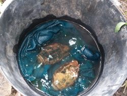 Warga Dikejutkan Temuan Dua Granat Diduga Aktif di Naga Kesiangan Sergai