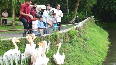 Akhir Pekan Bersama Keluarga, Presiden Jokowi Ajak Cucu Wisata Satwa di Sibolangit