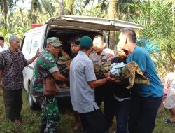 Sempat Dikabarkan Hilang, Mayat Sulianto Ditemukan di Bantaran Sungai Bahbolon