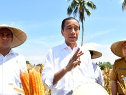 Presiden Jokowi Apresiasi Kemenangan Telak 4-1 Timnas Indonesia atas Yordania