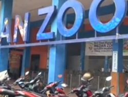 Siap Sambut Pengunjung di Lebaran, Penutupan Medan Zoo Ditunda Sampai Setelah Lebaran
