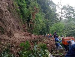 Badan Jalan di Jalur Alternatif Karo-Langkat Tertutup Longsor, Akses Jalan Lumpuh