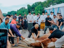 Di Medan, 9.716 Ekor Hewan Kurban Disembelih, Pemko Medan Sembelih 212 Ekor