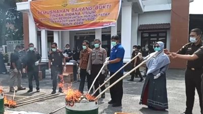 25 Kg Ganja dan 405 Gram Sabu Dimusnahkan Kejari Padangsidimpuan, Puluhan Ponsel Ikut Dibakar !