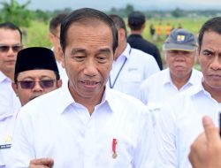 Presiden Jokowi: Pembangunan IKN Dorong Potensi Ekonomi Pertanian Bagi Daerah Sekitarnya