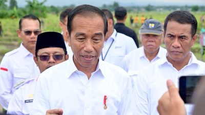 Presiden Jokowi: Pembangunan IKN Dorong Potensi Ekonomi Pertanian Bagi Daerah Sekitarnya