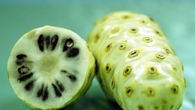 Cara Mengolah Buah Mengkudu Untuk Turunkan Gula Darah dan Kolesterol, Yuk Simak