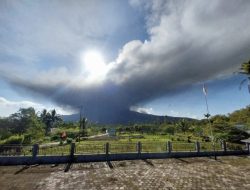 Erupsi 700 Meter: Gunung Lewotobi Laki-Laki di Flores Kembali Bergolak