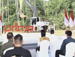 IKN: Kota Baru yang Langsung Dibanjiri Hotel Mewah