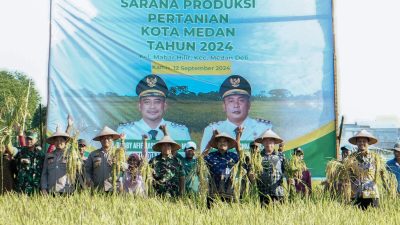Dukung Kemajuan Pertanian, Bobby Nasution Sambut Panen Raya Padi di Mabar Hilir