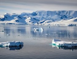 Penemuan Mengejutkan: Dunia Tersembunyi di Bawah Es Antartika