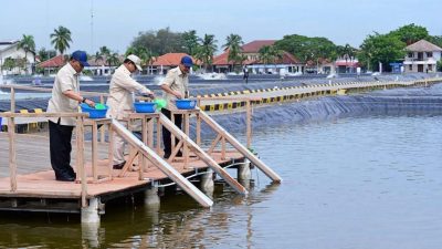 Presiden Prabowo: BLUPPB Karawang sebagai Pilar Swasembada dan Ekonomi Biru
