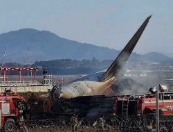 Pesawat Jeju Air Kecelakaan, 28 Penumpang Tewas