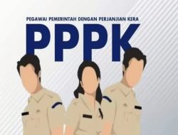 Gaji Pertama PPPK 2024 untuk Honorer, Ini Proses Pembayaran yang Harus Diketahui ASN Baru