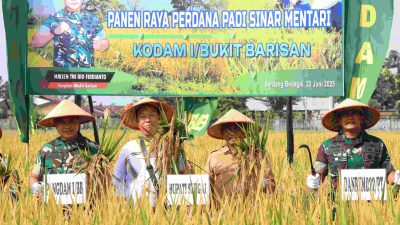 Dorong Ketahanan Pangan, Pemkab Sergai dan Kodam I/BB Panen Raya di Perbaungan