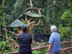 Benahi Medan Zoo, Rico Waas Studi Tiru ke Taman Safari Indonesia Bogor