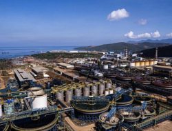 Cuan Besar! Program RI Ini Hasilkan Rp500 T untuk Negara