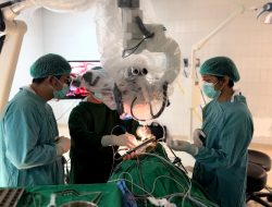 RS Adam Malik Tegaskan Komitmen dalam Layanan Stroke