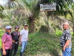 Manfaatkan Libur, Kalapas Labuhan Ruku Bersama Jajaran Lakukan Peninjauan Lahan