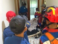 Heboh! Seekor Macan Tutul Nyasar Masuk Hotel di Bandung