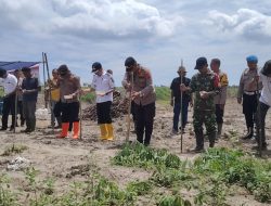 Dukung Swasembada Pangan, Polsek Bandar Khalipah Bersama Forkopimcam Tanam Jagung Serentak di Kuartal IV
