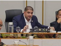 Isu Sianida di Anggur Hijau, Rajiv: Harus Diusut Tuntas, Mulai dari Distributor Hingga Importirnya