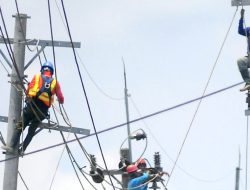 Mulai 1 Desember 2025, Ini Tarif Listrik PLN Terbaru per kWh