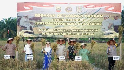 Kodim 0208/As Gelar Panen Raya Padi Gogo, Dukung Ketahanan Pangan Nasional