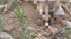 Warga Digegerkan dengan Temuan Makam yang Terbongkar di TPU Pamatang Simalungun
