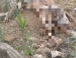 Warga Digegerkan dengan Temuan Makam yang Terbongkar di TPU Pamatang Simalungun