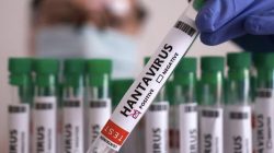 WHO Sebut Hantavirus Mudah Menular di Fase Awal, Negara-negara Perketat Karantina