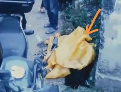 Potongan Kaki Manusia Ditemukan di Sungai Deli, Polisi Selidiki