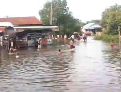 Pasang Laut Tinggi Sebabkan Banjir Rob di Belawan dan Sekitarnya