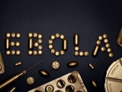 WHO Tetapkan Ebola Darurat Global, Kemenkes Imbau Hindari Daging Mentah dan Hewan Liar