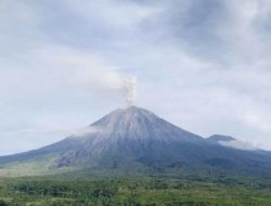 Lima Kali Meletus, Gunung Semeru Semburkan Abu Hingga 1.000 Meter