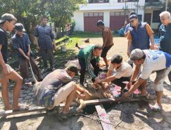 PWI Sumut Sembelih 6 Hewan Kurban, Bagikan 500 Kupon Daging