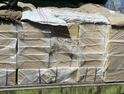 GAPRINDO: Kemasan Polos Bisa Bikin Rokok Ilegal Kuasai Pasar